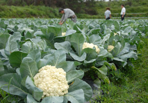 成功120天 成功120天