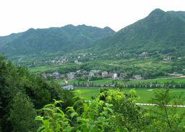 大山上村 大山上村