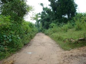 文更自然村 文更自然村