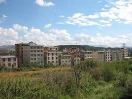 大沖社區 大沖社區