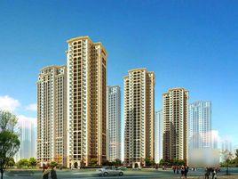 龍陽1號 龍陽1號