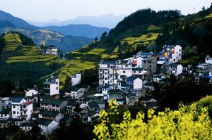 栗子坳村 栗子坳村