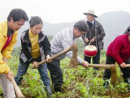 薅草鼓歌 薅草鼓歌