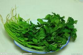 香菜提取物 香菜提取物