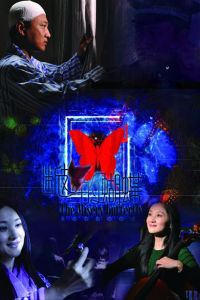 斷翅的蝴蝶[陳權、高戰執導電視劇]