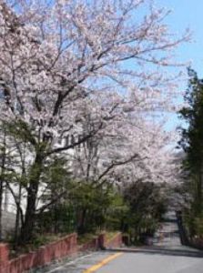 創造學園大學 創造學園大學