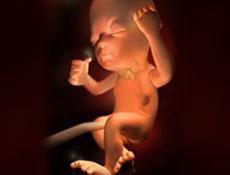 懷孕26周 懷孕26周