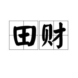 田財 田財