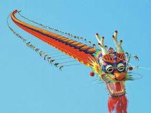 各式各樣的龍型風箏