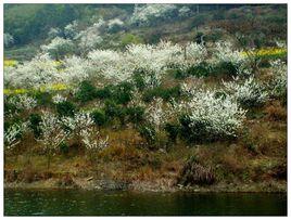 威遠葫蘆口湖風景區 威遠葫蘆口湖風景區