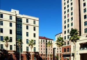 聖何塞州立大學