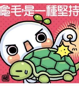 龜毛 龜毛
