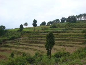 上牛紅自然村 上牛紅自然村