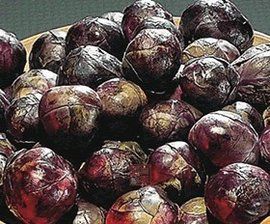 抱子甘藍 抱子甘藍