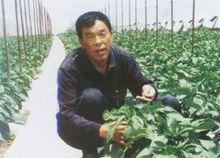 李生貴在勞動時所照的映象