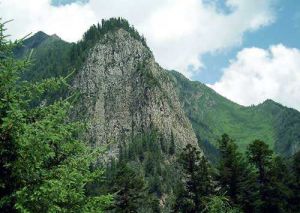 青峰寺森林公園