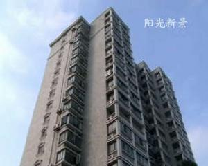 陽光新景 陽光新景