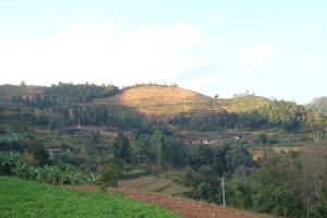 景二隊自然村 景二隊自然村