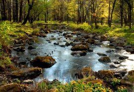 橫頭山國家森林公園