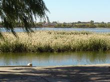 齊齊哈爾國家森林公園