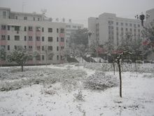 益陽職院校園雪景