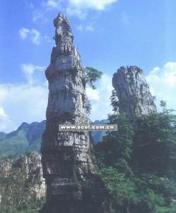 宜賓懸棺 宜賓懸棺