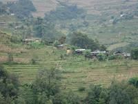 排把自然村 排把自然村