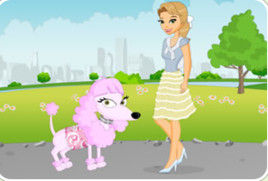 貴婦犬找主人 貴婦犬找主人