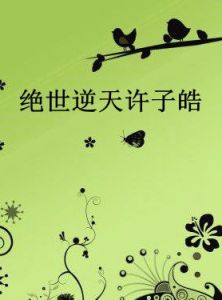 絕世逆天許子皓 絕世逆天許子皓