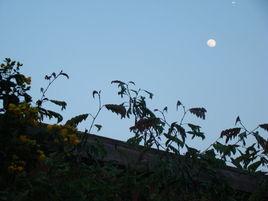 水底撈明月 水底撈明月