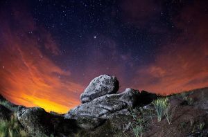 條紋駐留 條紋駐留