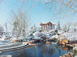 城陽世紀公園 城陽世紀公園