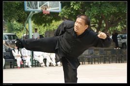 蔡家拳 蔡家拳