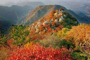 大鴻寨國家森林公園