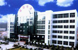 廣西桂冠電力股份有限公司 廣西桂冠電力股份有限公司