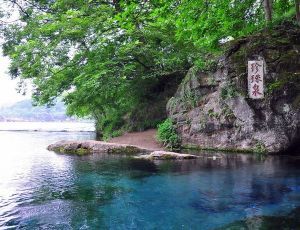 美泉自然村 美泉自然村