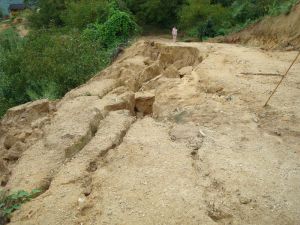 金竹塘自然村 金竹塘自然村