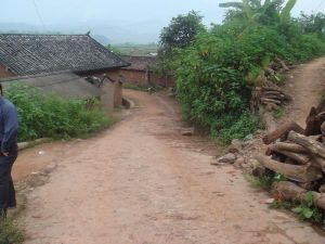 井水河村 井水河村