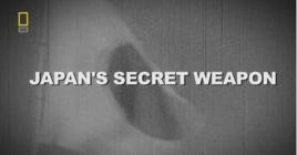 日本二戰秘密武器 日本二戰秘密武器
