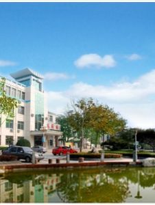 龍山中學 龍山中學