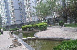 力度家園 力度家園