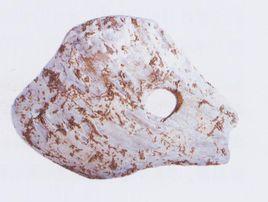 邕寧頂螄山遺址 邕寧頂螄山遺址