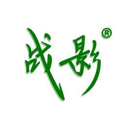 北京戰影科技有限公司