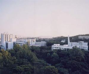 韓國高麗大學