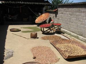 大坪子自然村[雲南保山施甸縣酒房鄉坪子地村大坪子自然村]