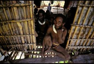 巴布亞紐幾內亞的樹屋人不落