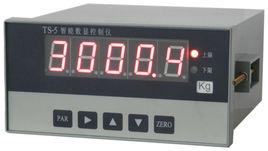 TS-5智慧型數字顯示控制儀表 TS-5智慧型數字顯示控制儀表
