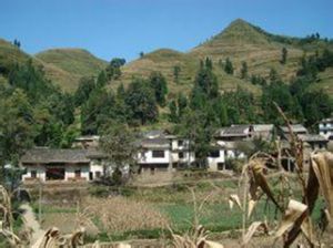 龔家寨自然村 龔家寨自然村