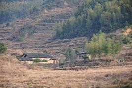 後山村[雲南省楚雄南華縣馬街鎮後山村委會]