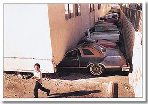 （圖）北嶺大地震